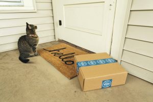 Caixa de papelão deixada ao lado de uma tapete de entrada, em frente à porta de uma casa e com um gato próximo